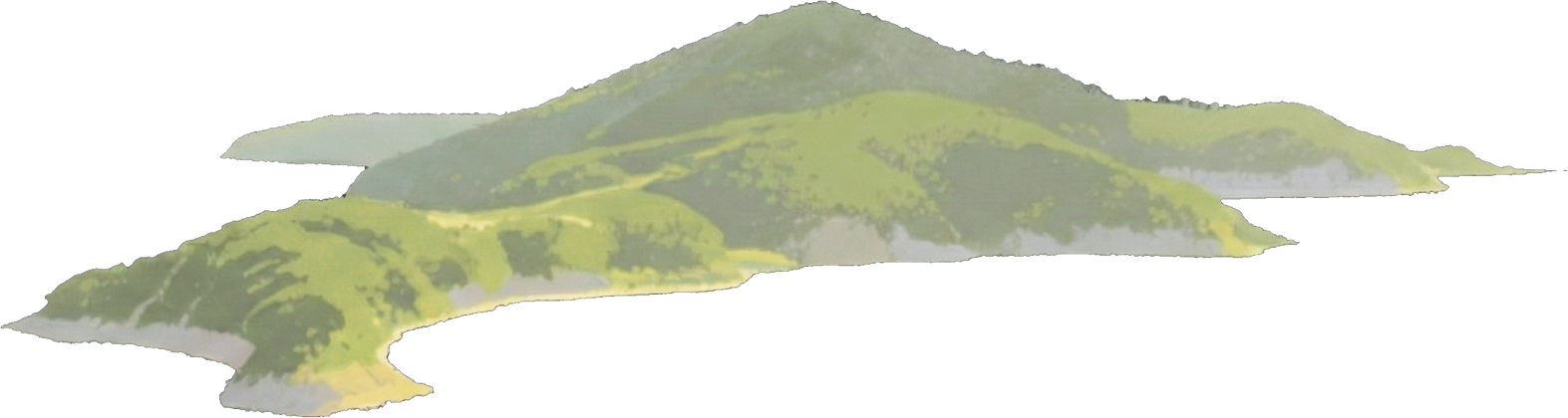 绿水青山的舟山答卷